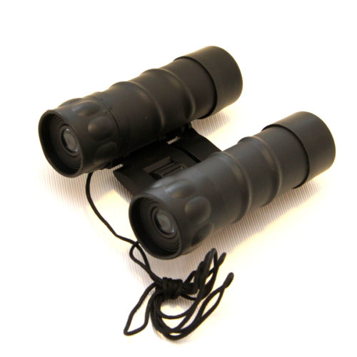 Binoculars Norin 10х25 black